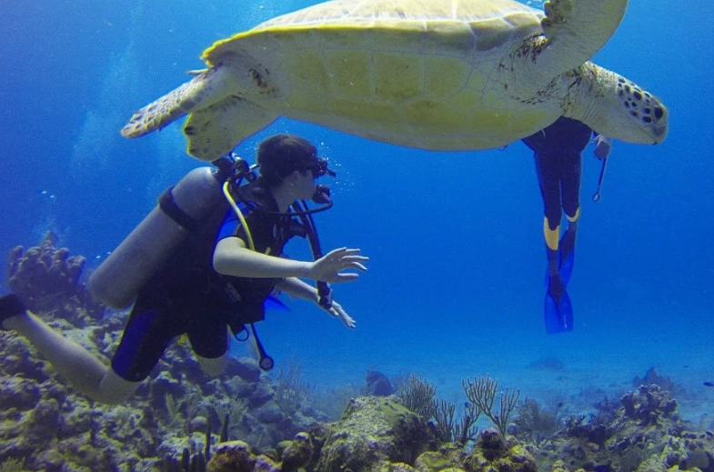 cenote diving Mexico cenote diving Mexico