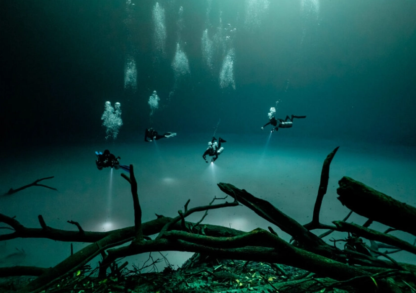 best diving in Mexico best diving in Mexico