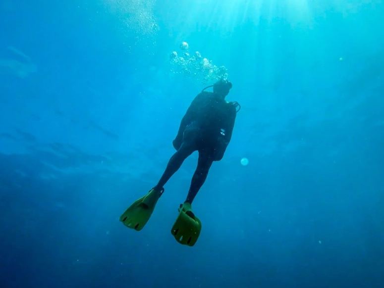 best diving in Mexico best diving in Mexico