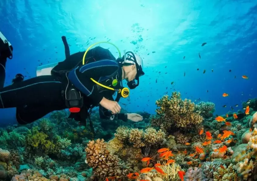 dry season diving Philippines dry season diving Philippines