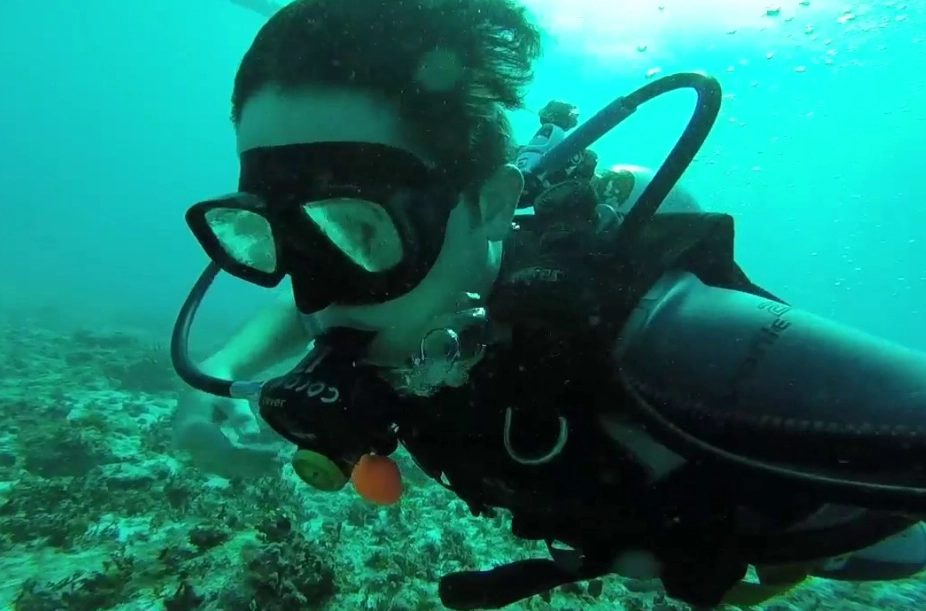 Cancun scuba diving Cancun scuba diving