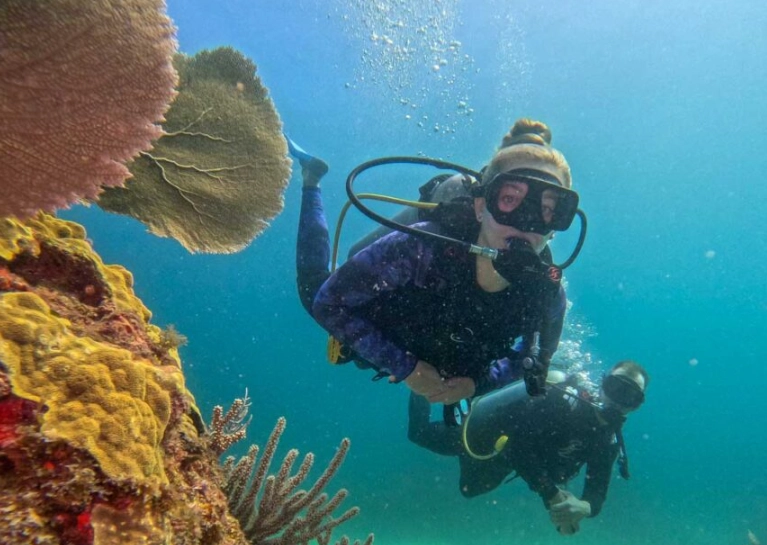 scuba diving Mexico scuba diving Mexico