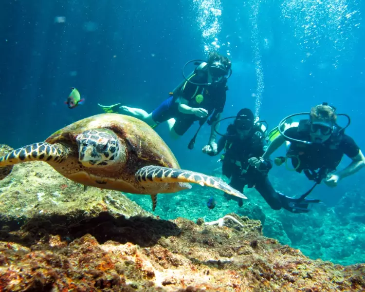 diving Thailand diving Thailand