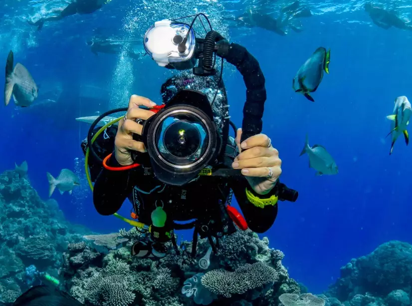 dive types dive types