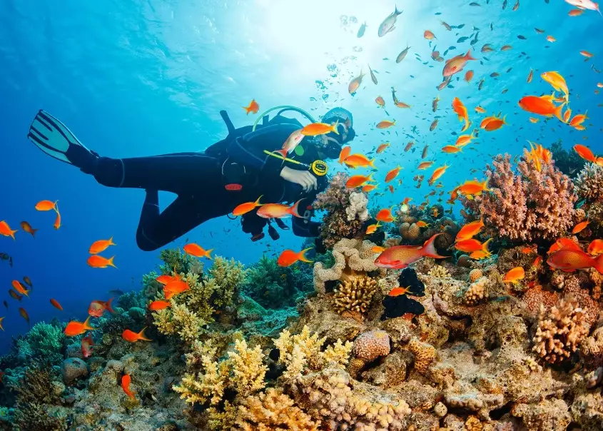 diving Thailand diving Thailand