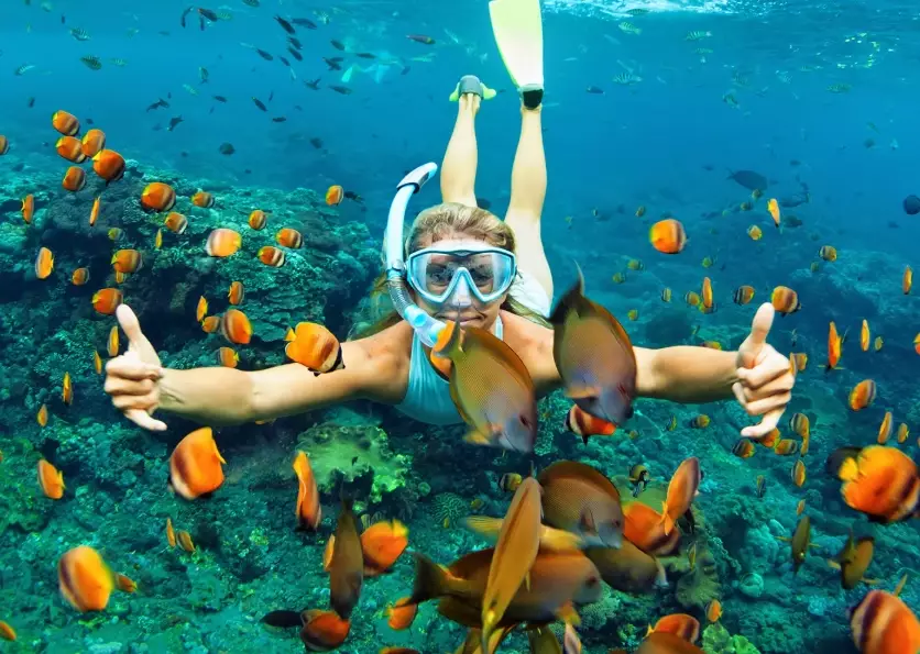 Thailand diving season Thailand diving season