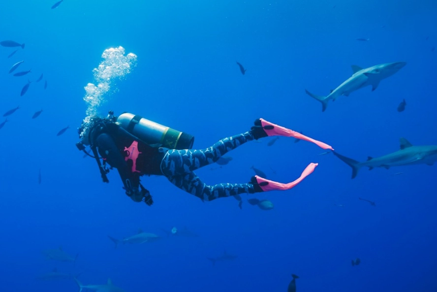 What are the 6 types of dives