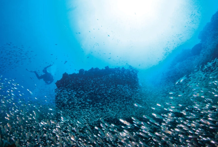 Thailand dive conditions Thailand dive conditions