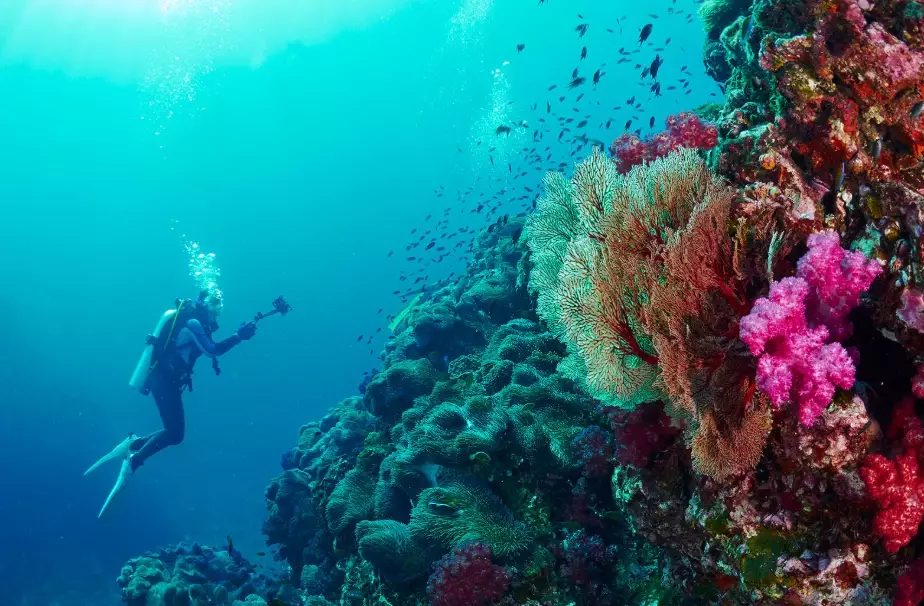 best time to dive in Thailand best time to dive in Thailand
