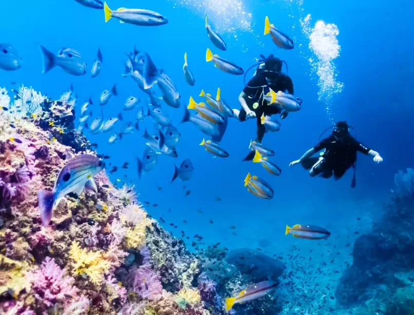 scuba diving Thailand scuba diving Thailand