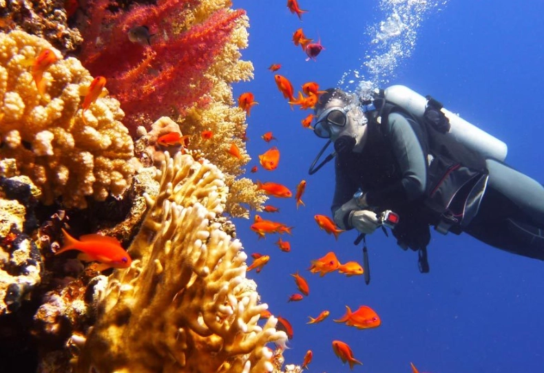 dive types dive types