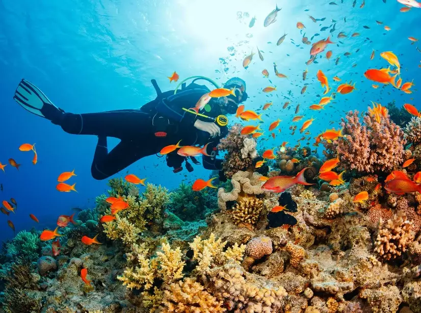 Thailand dive conditions Thailand dive conditions