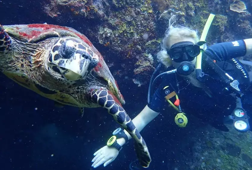 Thailand scuba diving Thailand scuba diving