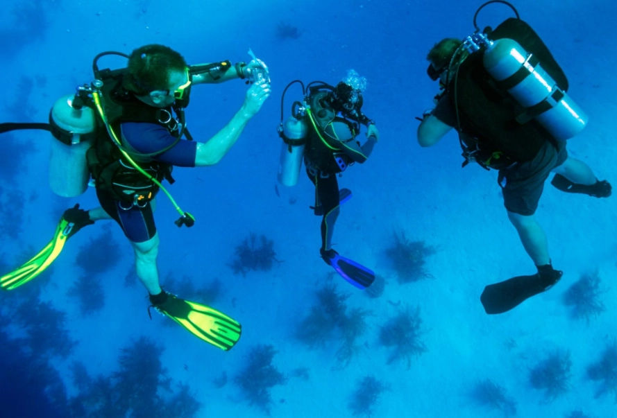 how to choose diving equipment how to choose diving equipment