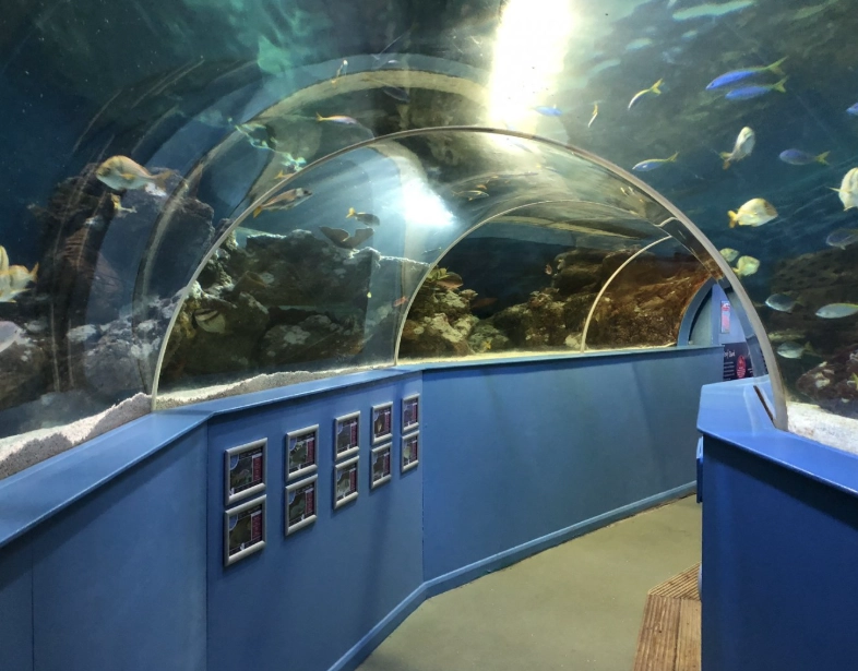 ocean tunnel aquarium planning guide ocean tunnel aquarium planning guide