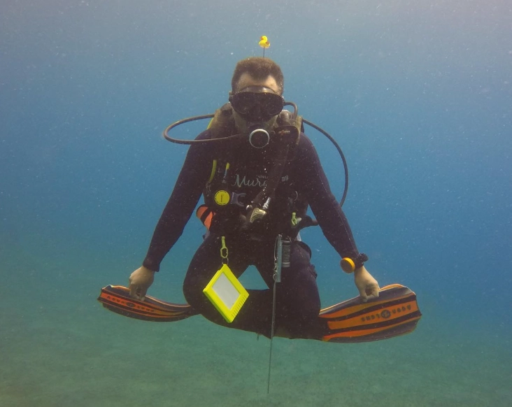 Basic diving techniques