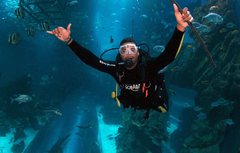 aquarium dive experience aquarium dive experience