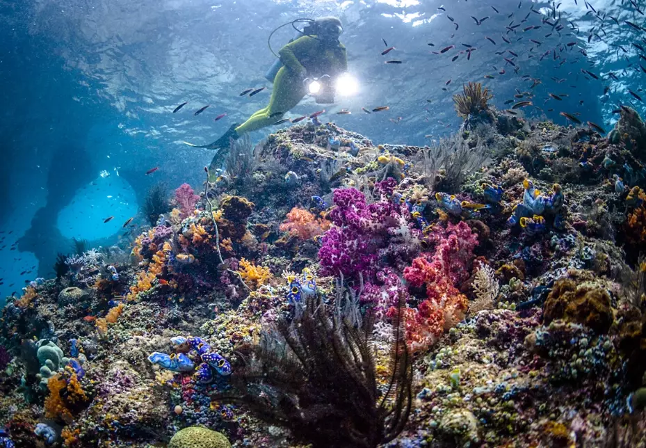 best places to learn to dive best places to learn to dive