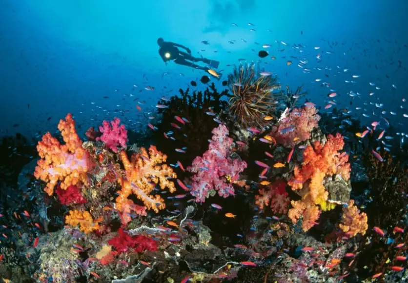 best place to learn scuba