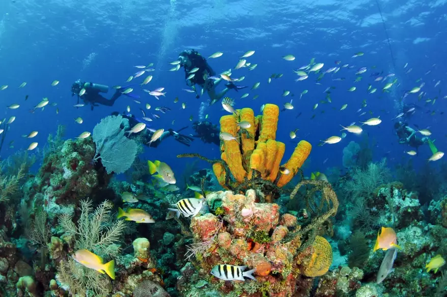 Caribbean dive sites