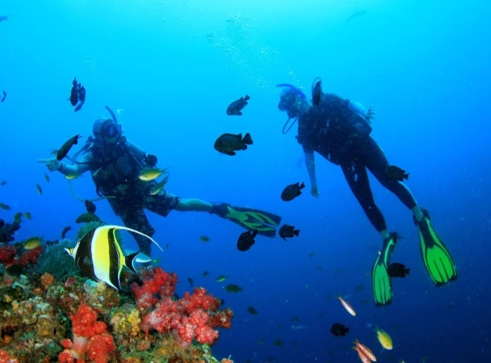 top diving destinations