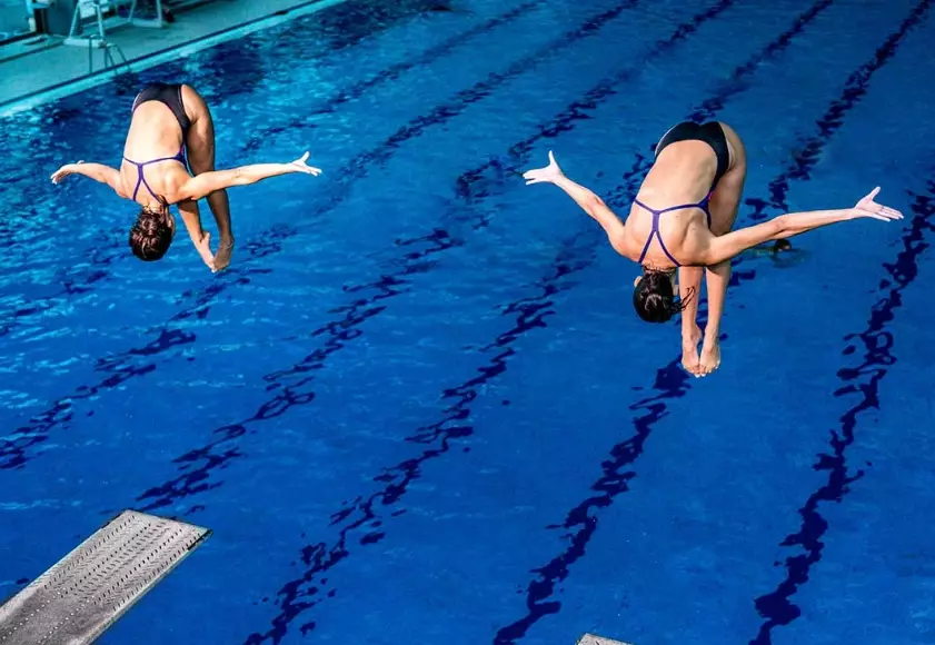 What are the 4 types of dives?