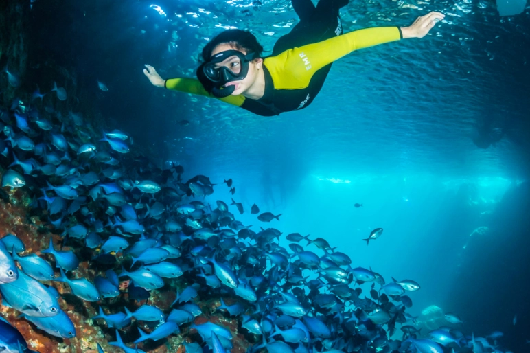 scuba diving pacific ocean