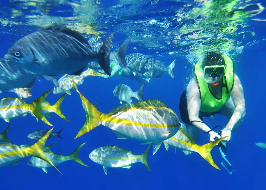 Caribbean diving destinations