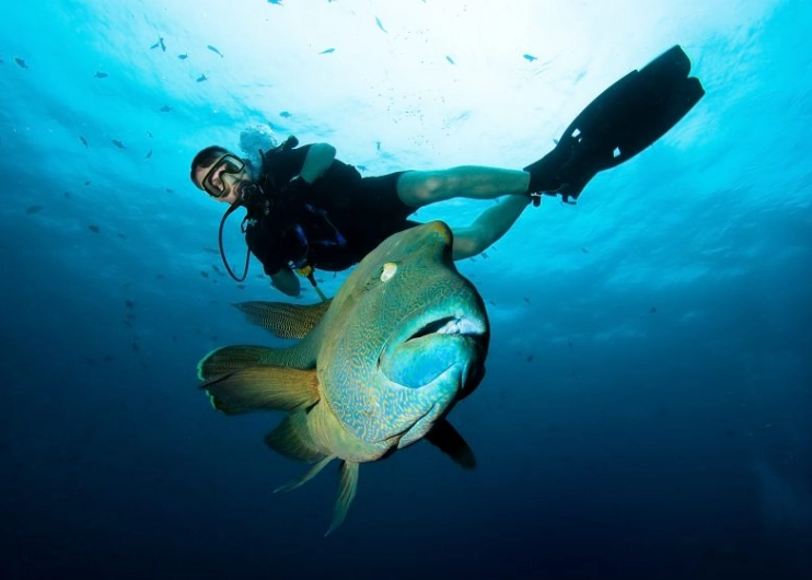 Asia diving destinations Asia diving destinations