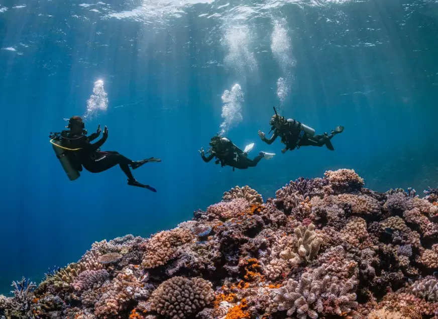 best scuba diving places