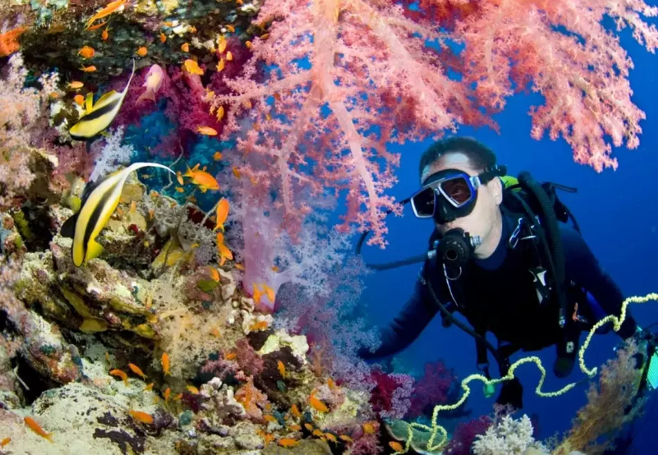 best scuba diving places