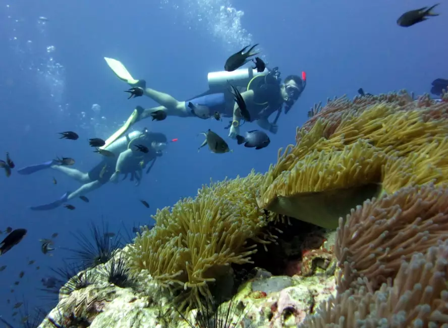 Asia diving destinations Asia diving destinations