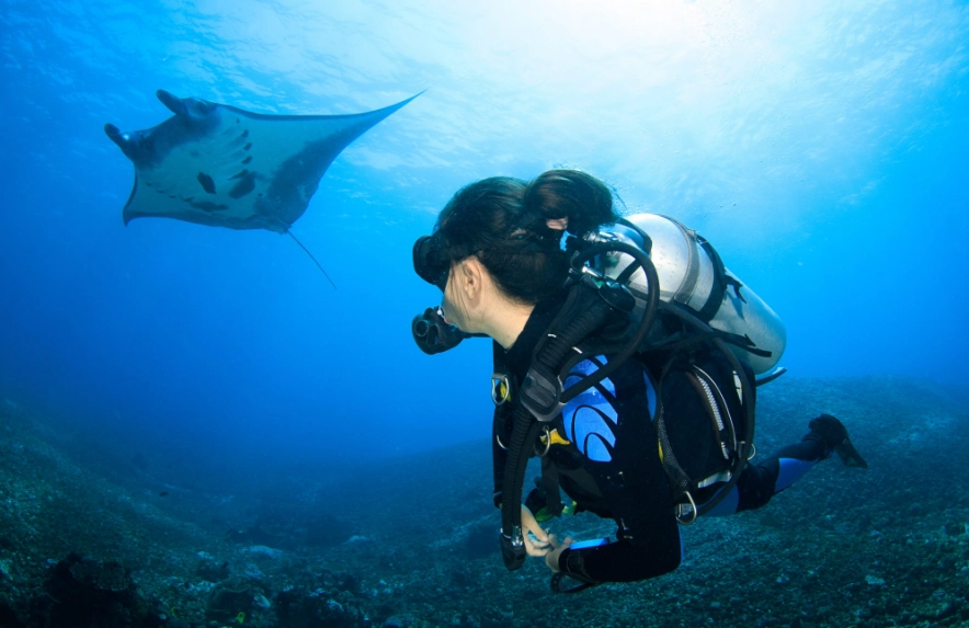 scuba diving Philippines Indonesia scuba diving Philippines Indonesia