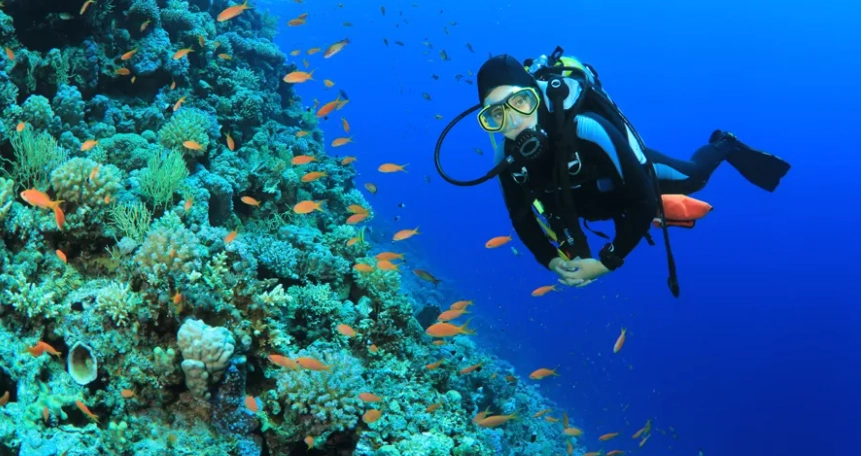 Caribbean dive sites