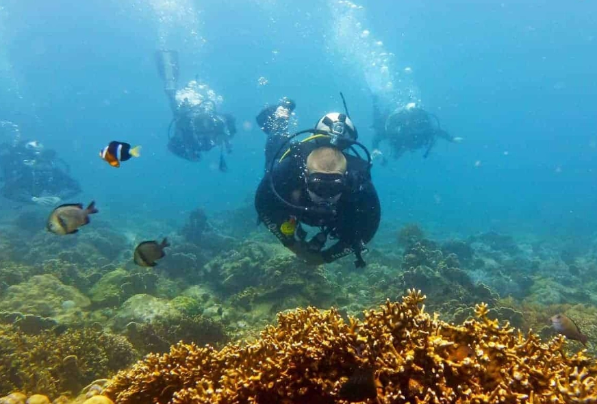 best scuba diving in Asia best scuba diving in Asia