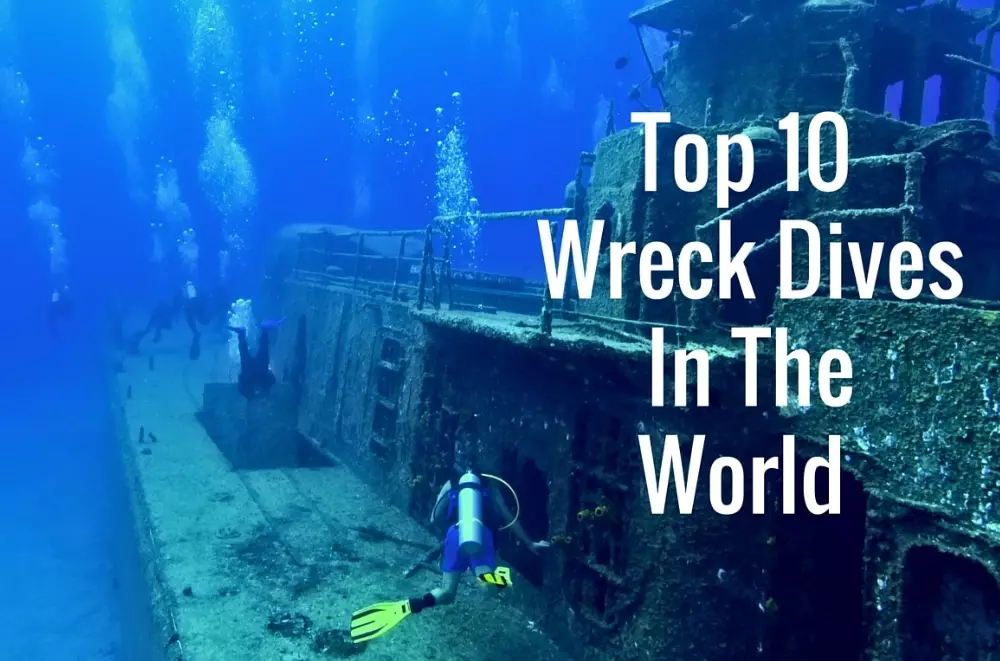 beginner dive sites beginner dive sites