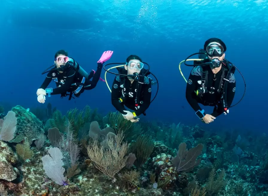 best scuba diving destinations