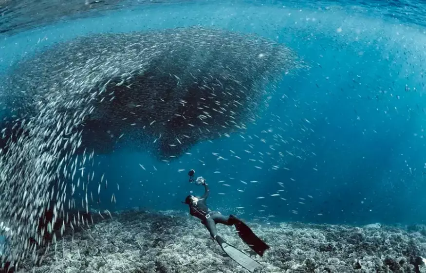 Philippines diving itinerary