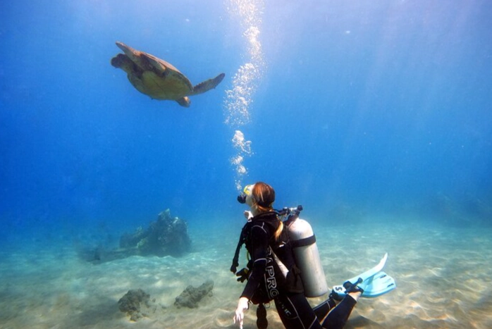 Scuba Diving for Beginners: Your First Dive Explained