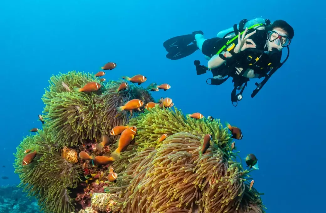 Philippines dive travel