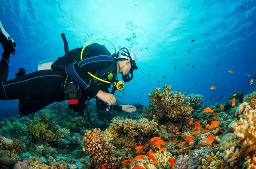 Is the Philippines Good for Scuba Diving for Beginners? A Complete Guide