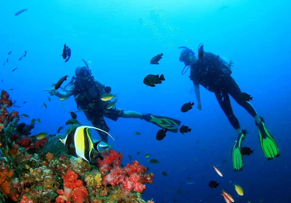 best diving spots Philippines