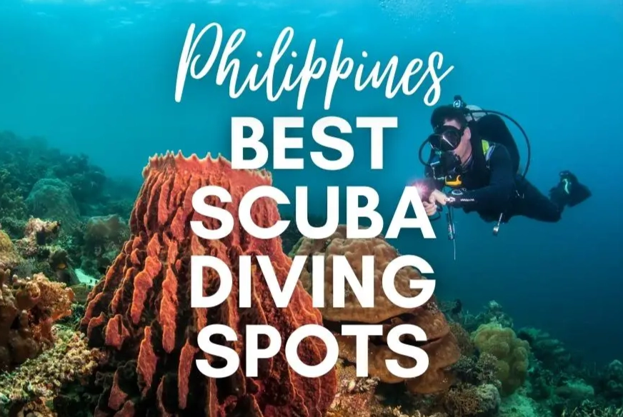 Discover the Best Scuba Diving in the Philippines: Top 5 Destinations