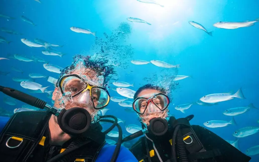 Beginner's Guide to Scuba Diving in the Philippines: Best Sites & Tips