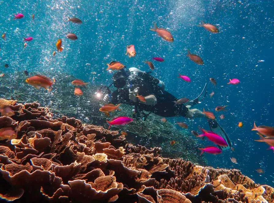 learn to dive Philippines