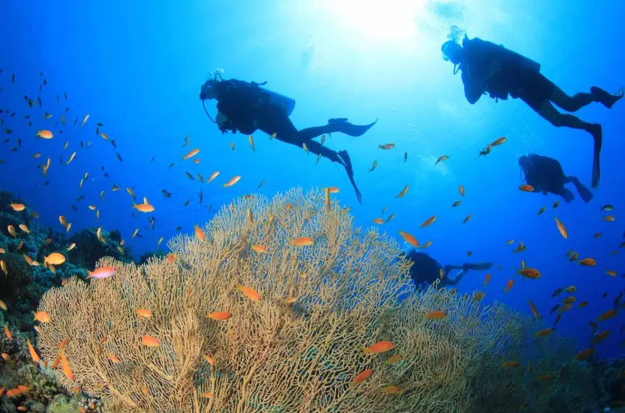 best scuba diving Philippines best scuba diving Philippines