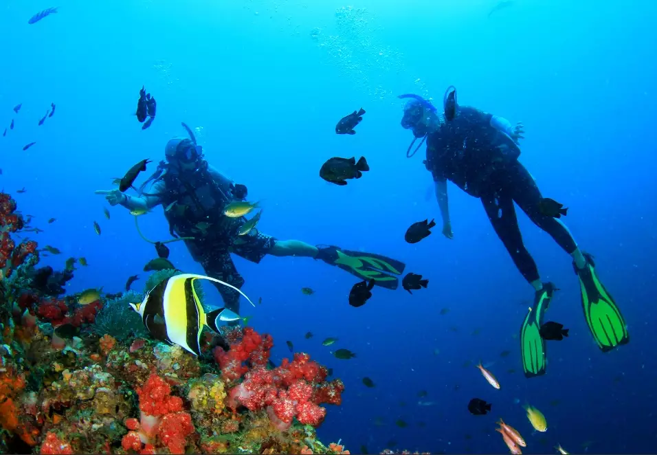 top diving spots Philippines