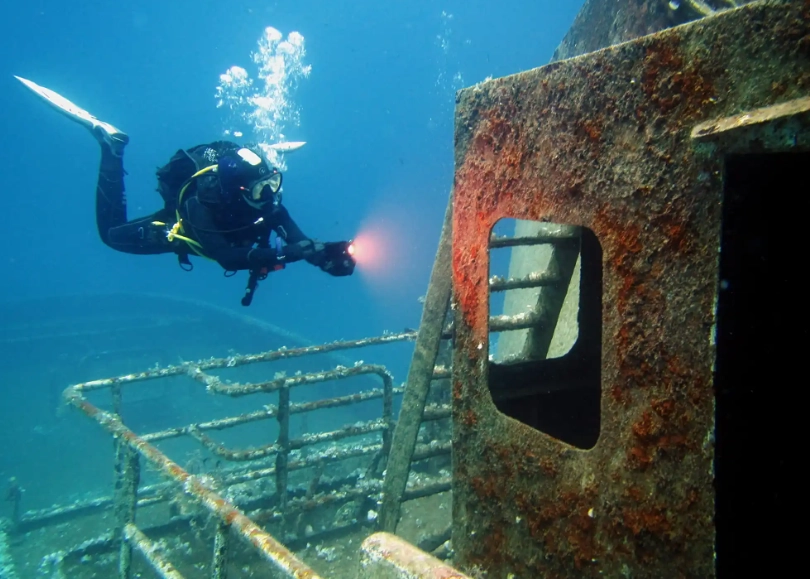 best diving in Europe marine life