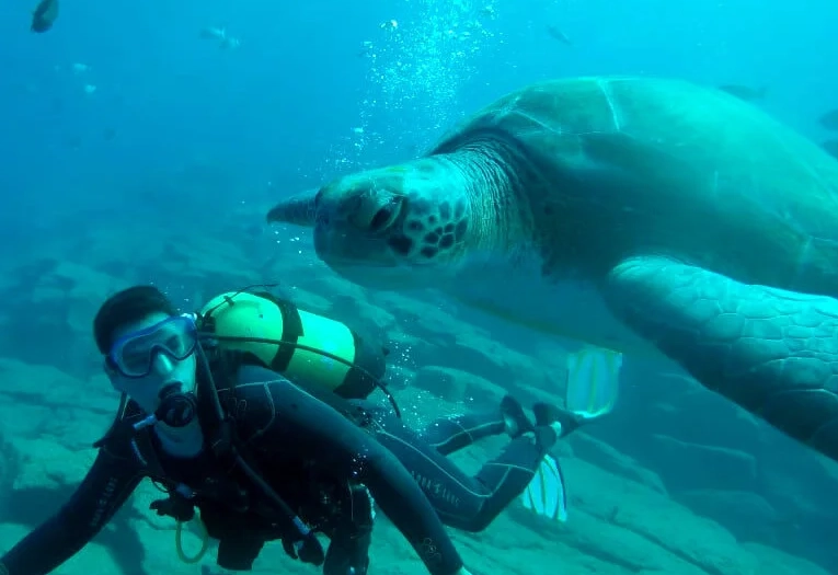 Europe dive vacation Europe dive vacation