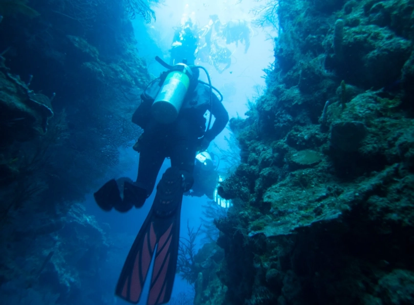 Georgia diving Georgia diving